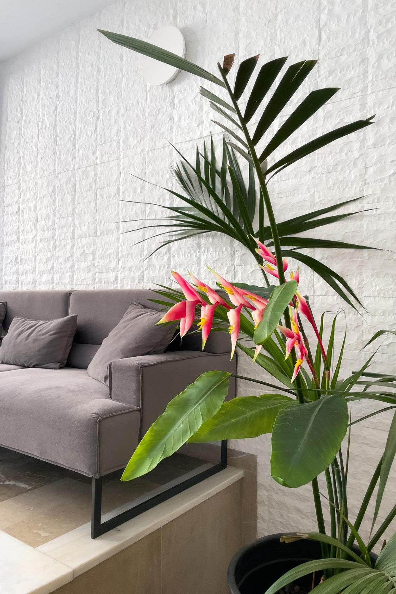 Aonia Luxurious Modern Boutique Apartament *